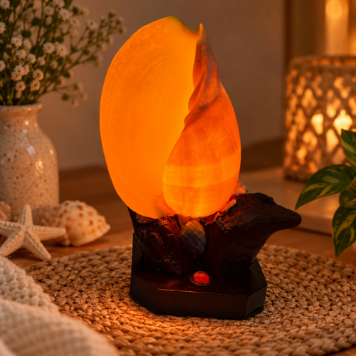 Fuego Interior